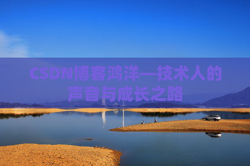 CSDN博客鸿洋—技术人的声音与成长之路